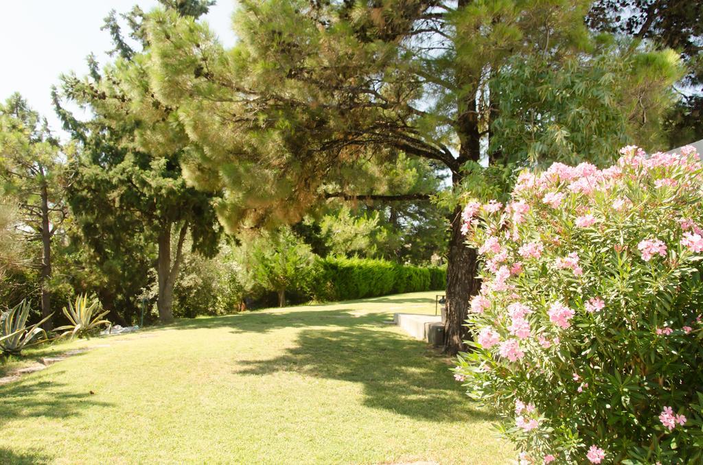 Angelbay Bungalows Agia Triada  Exterior foto